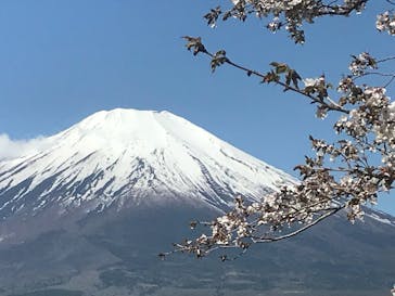山中湖体験工房アントヴに投稿された画像（2018/4/26）