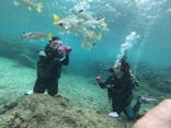 武藤潜水に投稿された画像（2019/5/1）