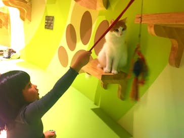 オービィ横浜に投稿された画像（2018/12/16）