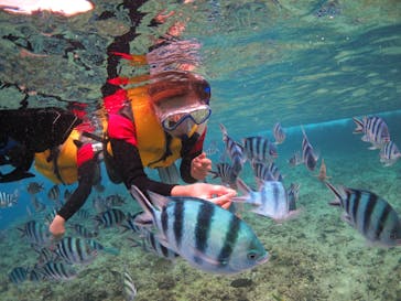 diving&workshop IHANASHI（ダイビングアンドワークショップイハナシ）に投稿された画像（2018/7/22）