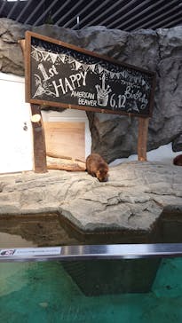 NIFREL（ニフレル）に投稿された画像（2019/6/9）