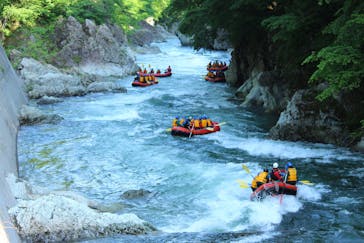 ネイチャー・ナビゲーター（みなかみ）に投稿された画像（2018/6/6）