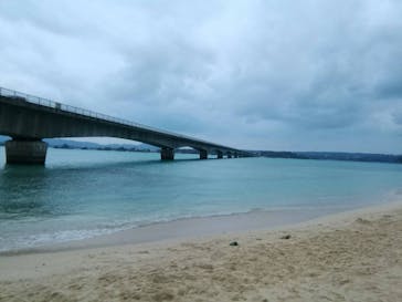 武藤潜水に投稿された画像（2018/1/8）