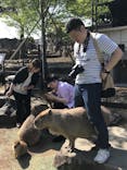 伊豆シャボテン動物公園に投稿された画像（2018/5/23）
