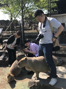 伊豆シャボテン動物公園に投稿された画像（2018/5/22）