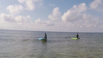 沖縄ハイビサーフィン&サップに投稿された画像（2018/11/19）