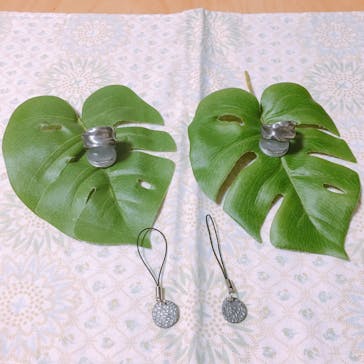 銀のイルカに投稿された画像（2019/3/3）