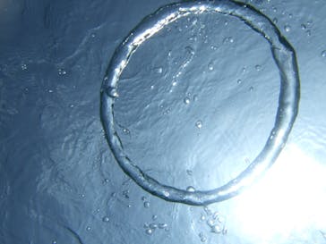 沖縄ダイビングショップシーモールに投稿された画像（2019/3/5）