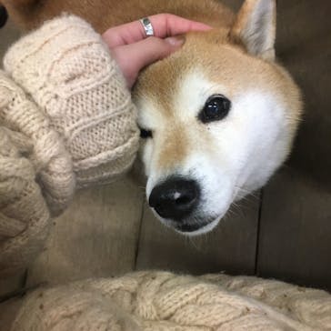 NAGI JEWELRY SCHOOLに投稿された画像（2017/12/25）