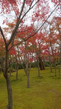 箱根美術館に投稿された画像（2017/12/11）
