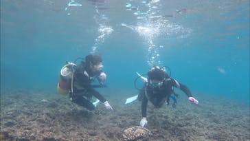 青の洞窟専門店　沖縄ダイビングショップ和に投稿された画像（2018/3/5）