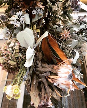 千秋工房 Flower Division（フラワーディビジョン）に投稿された画像（2019/5/12）