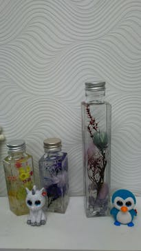 ずこうしつ〜sugamo〜に投稿された画像（2019/2/8）