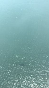 松島熱気球・パラグライダー体験に投稿された画像（2018/7/20）