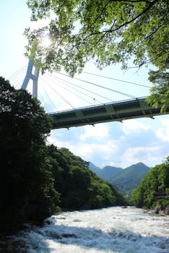 ネイチャー・ナビゲーター（みなかみ）に投稿された画像（2018/6/6）