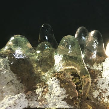 THE HIGHEST PEAKに投稿された画像（2019/1/4）