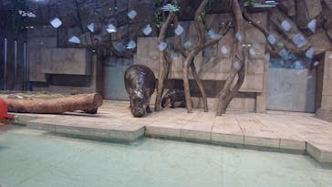 NIFREL（ニフレル）に投稿された画像（2019/6/9）