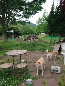 イドアートジュエリーに投稿された画像（2019/5/27）