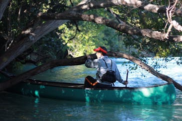 カヌーリゾートたまよどに投稿された画像（2017/11/11）
