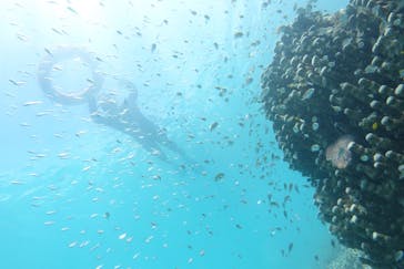 初心者専門店NEOMARINE石垣島に投稿された画像（2019/6/4）