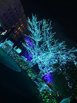 よみうりランド 遊園地に投稿された画像（2018/12/26）