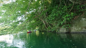 カヌーリゾートたまよどに投稿された画像（2018/6/2）