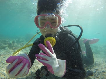 武藤潜水に投稿された画像（2019/3/21）