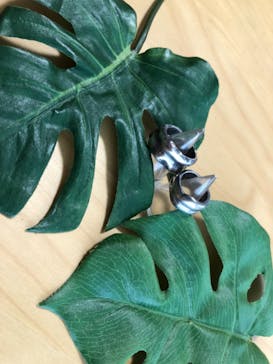 銀のイルカに投稿された画像（2018/7/8）