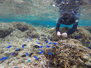 武藤潜水に投稿された画像（2018/2/14）
