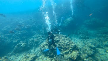 diving&workshop IHANASHI（ダイビングアンドワークショップイハナシ）に投稿された画像（2018/5/23）