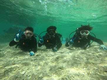 武藤潜水に投稿された画像（2019/5/4）