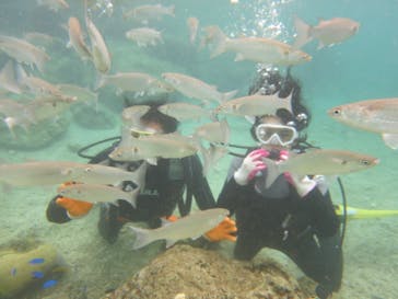 ドロップイン 沖縄に投稿された画像（2018/11/19）