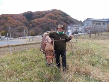 クリオステーブルに投稿された画像（2017/11/25）