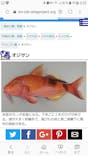 沖縄海うさぎ・海あしびに投稿された画像（2018/10/20）