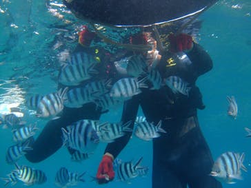 沖縄ダイビングショップシーモールに投稿された画像（2019/5/14）