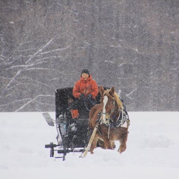 岩手山焼走り国際交流村に投稿された画像（2018/1/25）