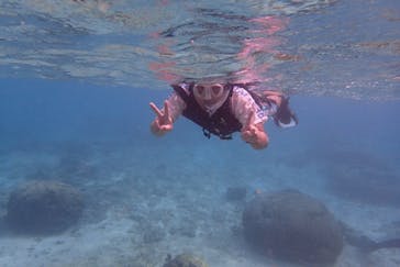 B-nature（ビーネイチャー）に投稿された画像（2017/10/14）