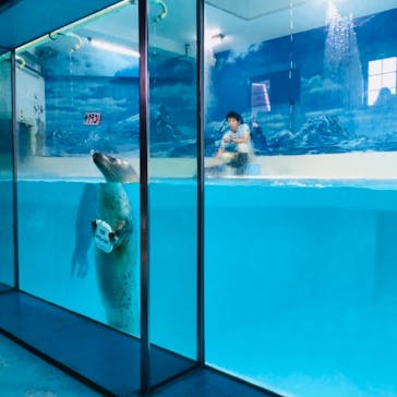 下田海中水族館に投稿された画像（2018/8/12）