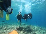 武藤潜水に投稿された画像（2019/3/20）