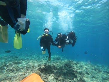 武藤潜水に投稿された画像（2019/3/20）