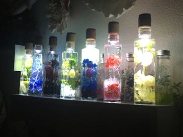 ずこうしつ〜sugamo〜に投稿された画像（2019/2/19）