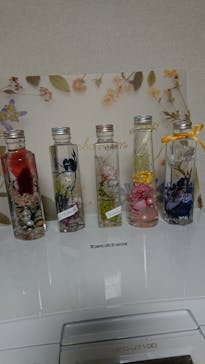 Y's calm feeling（ワイズカルムフィーリング）に投稿された画像（2018/11/29）