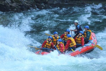 ネイチャー・ナビゲーター（みなかみ）に投稿された画像（2018/6/2）