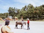 KAZ HORSE TRAINING（カズホーストレーニング）に投稿された画像（2017/10/21）