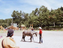 KAZ HORSE TRAINING（カズホーストレーニング）に投稿された画像（2017/10/21）