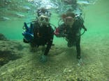 武藤潜水に投稿された画像（2019/5/8）