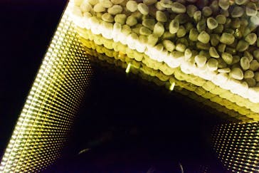 東洋文庫ミュージアムに投稿された画像（2019/3/22）