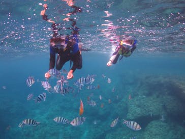 diving&workshop IHANASHI（ダイビングアンドワークショップイハナシ）に投稿された画像（2018/6/5）