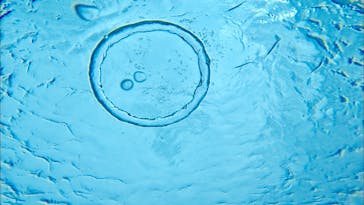 青の洞窟専門店　沖縄ダイビングショップ和に投稿された画像（2019/1/2）