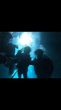 武藤潜水に投稿された画像（2019/4/7）